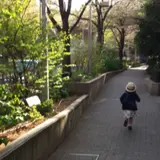 六本木　さくら坂