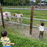 川湯パーク牧場