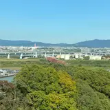 男山ケーブル