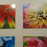 熊本市現代美術館 ミュージアムショップ