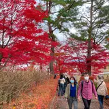 旭日丘湖畔緑地公園