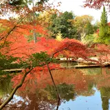曽木公園