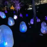 チームラボ どんぐりの森の呼応する生命