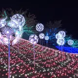 ひこにゃん石像の場所