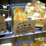 をかし東城