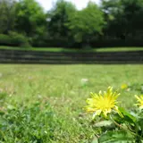 荒井城址公園
