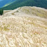 岩湧山