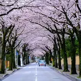 西海子小路