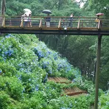 黒羽城址公園