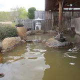 不忘の湯