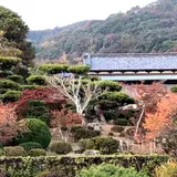 毛利氏庭園