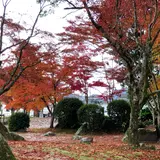 紅葉谷公園