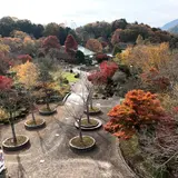 花みどり公園