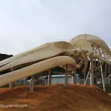 和田浦