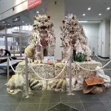 宮古空港