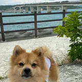 浜比嘉島