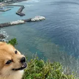 茅打ちバンタ