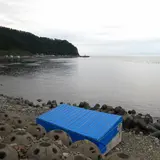 相泊温泉