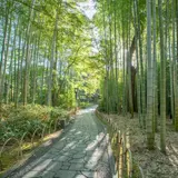 修善寺