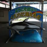 銚子海洋研究所
