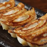 酒場餃子研究所 渋谷店