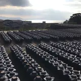 坂元のくろず「壺畑」情報館