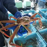 舞鶴西港