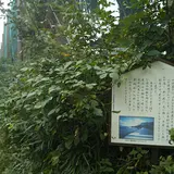観音崎ボードウォーク