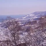 銭函