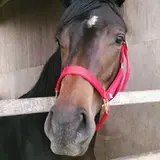 本田土寿牧場
