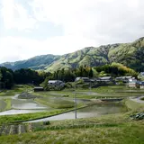 美しい田んぼの風景