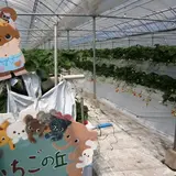 いちごの丘