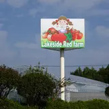 レイクサイド レッドファーム