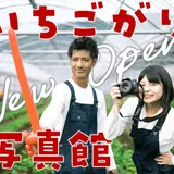 くらうんふぁーむ