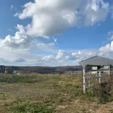 ジャージー牛ふれあい広場