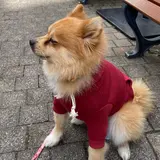 りんくうプレミアム・アウトレット