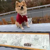 吉備SA (下り)
