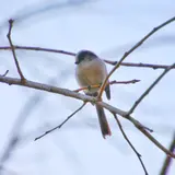 花島公園