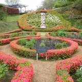 町田ぼたん園