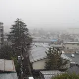 松本本箱