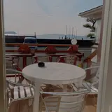 COFFEE ドルフィン