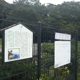旗山崎公園