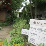 風びより
