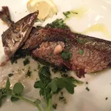 ホーキ星（ほーきぼし）