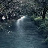 玉川上水