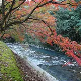 青井岳自然公園
