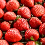 右田果樹園（いちご狩り・フルーツ狩り・柿狩り）
