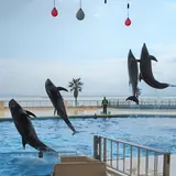 マリンワールド海の中道