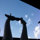 ロハスヴィラ