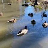 宝来公園